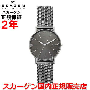 �y�������K�i�zSKAGEN �X�J�[�Q�� �r���v �E�H�b�` �����Y SIGNATUR �V�O�l�`���[ �O���[������ �D SKW6577