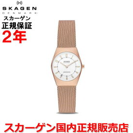 【国内正規品】SKAGEN スカーゲン レディース 腕時計 ウォッチ GRENEN LILLE グレネンリール ソーラーパワー SKW3078