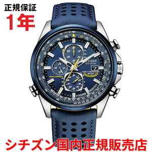 yKiz V`Y v}X^[XJC GRhCudgv [h^C u[GWFXf CITIZEN PROMASTER SKY 43mm Y rv EHb` \[[ vxg U[ u