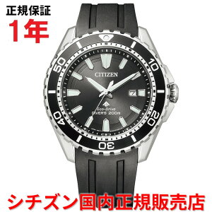 yKiz V`Y v}X^[} GRhCu _Co[ CITIZEN PROMASTER MARINE 44.5mm Y rv EHb` \[[ o[xg ubN  BN0190-15E