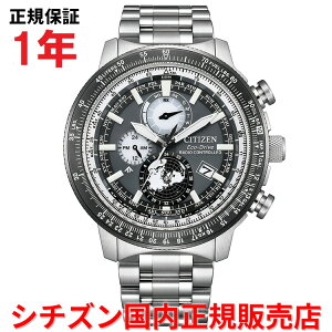 yKiz V`Y v}X^[XJC GRhCudgv [h^C CITIZEN PROMASTER SKY 46mm Y rv EHb` \[[ XeXX`[uXbg O[ BY