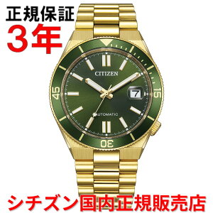 �y���������}���\�����Ԓ��X���ő�P20�{�z�y�������K�i�z �V�`�Y�� ���J�j�J�� CITIZEN 40mm �����Y �r���v �E�H�b�` �������� NJ0232-53X