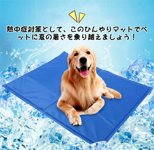 tBbglX?g[jOX|[coX{[zbsO{[oEh{[lptBbglXX|[cctXgb`XvO{[hoXzbsO{[qp