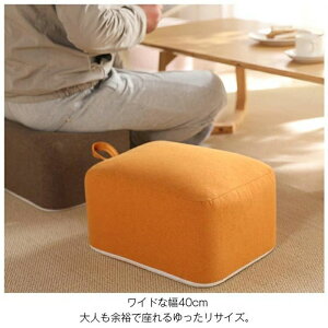 NbV zc Xc[ 40×30×30cm NbV  q  ֎q Ɍ lp [`FA ӂӂ fXN[N p\R Q[ `FA tbgXg ֎q CeA k