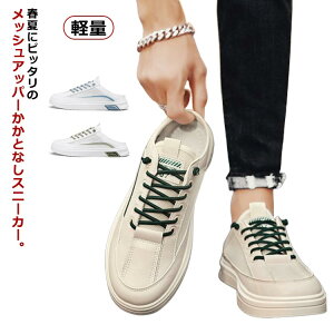 ƂȂ Xj[J[ bV Xb| Y C bVXj[J[ T_Xj[J[ y [XAbv JWAXj[J[ ₷ Ȃ T{T_ t RtH
