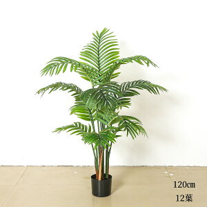 tFCNO[ ϗtA tFCN lHϗtA ^  CeA A  ϗt hZi 80cm 120cm Vv ItBX   ϗt C   A ^q` 