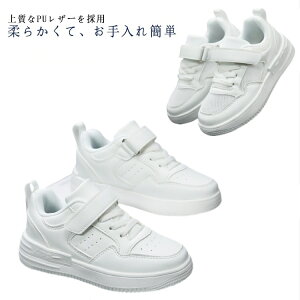 Xj[J[ LbY q C ̎q j̎q y xr[C V[Y ^C WjA qǂC LbYC Ԃ X|[c    w ۈ牀 ct a v[g 