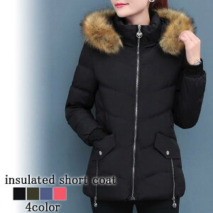 _EWPbg fB[X ȃV[gR[g ~ g X y V[g _E  t O ꂢ Wp[ n[t  V[gR[g y  20 t[h h  