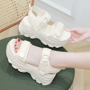 fB[X X|[cT_ T_ _uxg Xj[J[T_  _bhV[Y RtH[gT_ }WbNe[v V[Y vbgtH[ Xj[J[T_ 