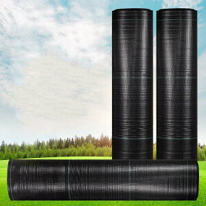 hV[g 0.5*200m x  V[g _pV[g UVܓ ϗpN 7-12N 悯V[g F G΍ Gh~  lHŉ  | K[fjO  G Ő Gh~ 