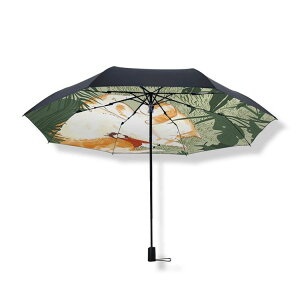 P P y L  Jbv ֗  ֗ ܂ݎP ~J΍ ΍ MǑ΍ Jp ܂肽  傫 ϕ OՕ   JP ܂ɂ ʋ ʊw rW