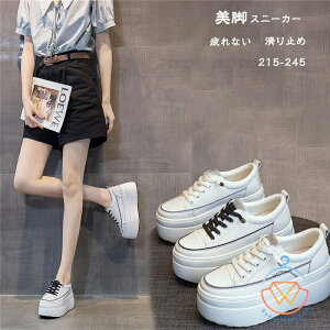 fB[X Xj[J[ Ȃ ʊw ₷ t@bV fB[XC 8cmq[  r ~ JWA C s o| t 20 30 40 50 JWAV[Y 