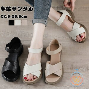 T_ fB[X EGbW\[ vT_  NbV Xgbv r[`T_ fB[X  T_ C ₷  q[ r t   