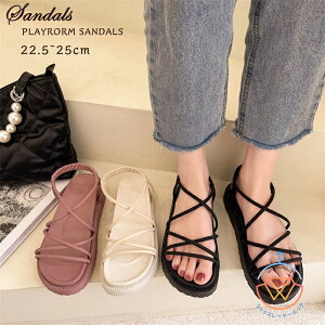 T_ fB[X  NbV Xgbv T_ fB[X  T_  C ₷  q[ r EGbW\[  ꂢ  ubN x[W s