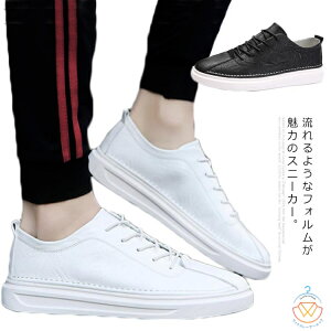 Xj[J[ Y PUU[ C y C  V[Y ItBXJWA rWlX  RC [XAbv C ANJbg ʊw ʋ r^[ Xg[g   t  H ~