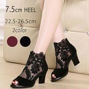 T_ T}[u[c fB[X u[cT_ nCq[ q[ I[vgD pvX fB[X C [X q[ u[eB bV u[T V[X[ t[[X  H