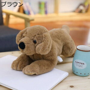 �{���������� ������ �� �ʂ������ �� �����܂��� ���� �Y���Q ���u���h�[�� �x�[�W�� �G�� ���킢�� �������܂��� �ӂ�ӂ� �Y���Q �Y���Q�� �v���[���g 40cm ���킢�� ���j�� ���ƃv���[