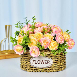 ԃZbg Ԃ̉ԑ ҂ĕt lHϗtA LC tFCNt[ lH [Y/Ђ܂/JX~\Eu[P ͂Ȃ CeA rO  ʐ^Be Vj J