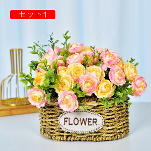 ԃZbg Ԃ̉ԑ ҂ĕt lHϗtA LC tFCNt[ lH [Y/Ђ܂/JX~\Eu[P ͂Ȃ CeA rO  ʐ^Be Vj J