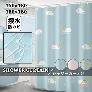 V[J[e  hJr  u[ O[ sN 킢  k NW Ȃ oXJ[e J[ei Vv qǂ H Ց C oX[  