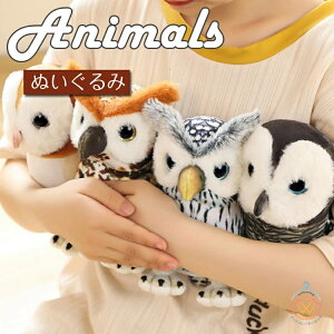 ܂ ʂ LbY  YQ܂ Lb j Mtg ӂӂ a q l 킢 `   tNE k ǂ qǂ Q j̎q ̎q 蕨 q