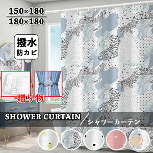 V[J[e hJr  tbN oXJ[e 5F k 킢  C J[e Ȃ oX[ oXpi Vv GKg H  ʏ jbgoX  