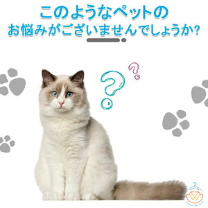 TCYF45×60cm L gCp }bg L gC}bg Lp LLb`[ ܂ݎ  L}bg gC}bg LUh~ L}bg LgCpi ybg d\ 