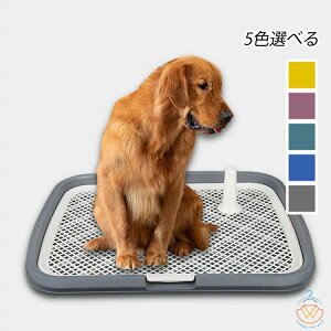  gCg[  gC   gCg[ ђ˖h~ Xebv  gCg[jO pgC{bNX O 65*50*6cm