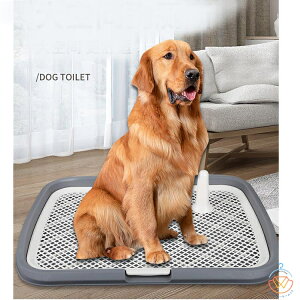  gCg[  gC   gCg[ ђ˖h~ Xebv  gCg[jO pgC{bNX O 65*50*6cm