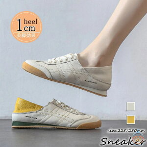 fB[XV[Y t Xj[J[  tbgV[Y puv fB[XXj[J[ 40 Xb| C ₷ r Xb|C ʋΒʊw 