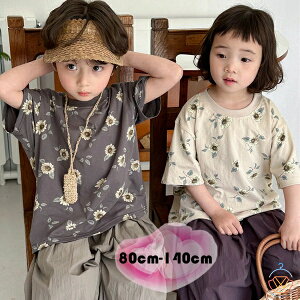 ؍q TVc   gbvX ԕ tVc jp LbY  TVc 킢 ԕ gbvX TVc ̎q j̎q  TVc O[ y[W ʉ ʊw Ē ct 