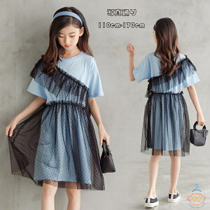 ؍q LbY s[X Ē ̎q s[X ăs Rbg  G JCC u[ `[ hbg s[X o s[ s   s[X Beʐ^ 