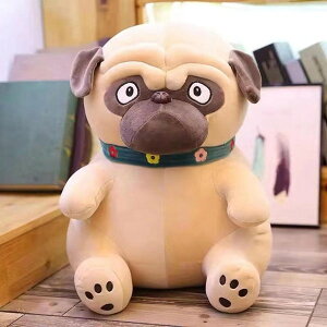 ʂ  ܂ pO  pOD  YQ  25cm   _炩 @\ Q 􂦂 n Ck YQ v[g 킢 蕨  u