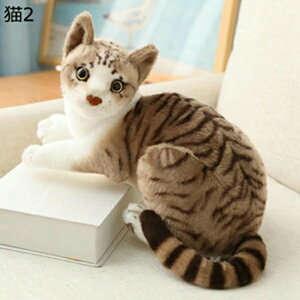 ʂ VL D A { p VM[  YQ   YQ CeA ߋ  K _炩 G j hV̓ ގ ޏ ԗp 25