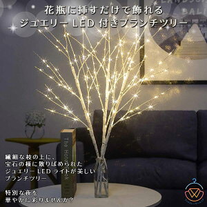 y5{100Zbgzu`c[ LED  70cm c[Cg  NX}Xc[ uE zCg NX}X u` c[ CeA }  Cg CeACg d 