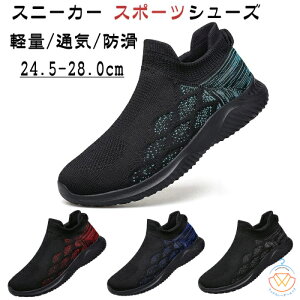 Xj[J[ Y EH[LOV[Y  RȂ jOV[Y X|[cV[Y Xb|  WMO ʋC y ^C ₷ ɂ ~  s ʊw 