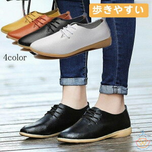 Xj[J[ JWAV[Y fB[X C vC _炩 y [q[ h ₷ Ȃ wlC vC _炩 y fB[XC  rWlXV[Y 2022 H dp