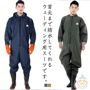 ނ Sgh C h tC t[ht `FXgnCEF_[ fB[X  Y z ʋC hȂ cA JV H _  jp Y Iׂ2^Cv 