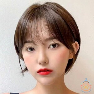 l100 V[g R RF   J ~ZX 20cm tEBbO J[ p[} fB[X p ӂ S ×pEBbOɂ p[} EBbO ubN