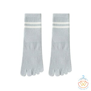 y2ZbgzK\bNX 5{w\bNX ~ߕt fB[X seBX K C O    X|[c  C\bNX zbgK Ƃ ܐ悠 \b