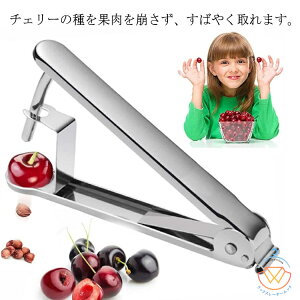 �I���[�u ���� �� �`�F���[�X�g�[�i�[ �픲�� �X�g�[�i�[ �I���[�u�픲�� �I���[�u�X�g�i�[ �X�R���Ɣ����ċC�������� �Ȃ� �T���U�V �T�N�����{ �������ڂ̎��� �^�l��� ��Ƃ� 