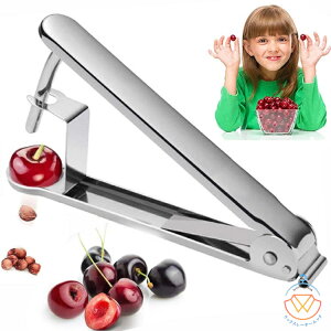 I[u   `F[Xg[i[ 픲 Xg[i[ I[u픲 I[uXgi[ XRƔċC Ȃ TUV TN{ ڂ̎ ^l Ƃ 