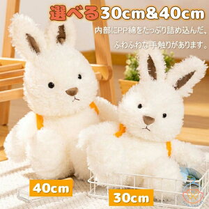 ʂ t@[XggC ʂ  Lcl  ӂӂ  xr[ LbY Aj}  oYj ̓ ǂ̓ wj Əj NX}X 蕨 Mtg 