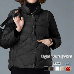 _EWPbg fB[X Cg_EWPbg t[h 40  V[gR[g _E t R[g 傫TCY ~ uh Wp[  y  n[t ꂢ H O