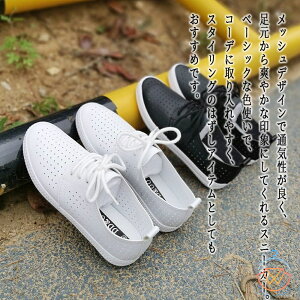 Xj[J[ fB[X PUbVXj[J[   y 24.5 LoX t H  ᓹ LeBO V y v Xb| ~ Ȃ 3E U[ 5E  {A  y O