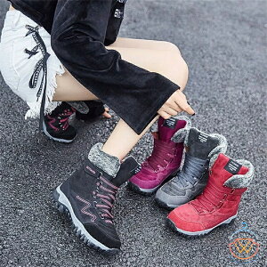 {Au[c Xm[u[c fB[X Ȃ u[c  {A EC^[u[c Xm[u[c h AEghA C 