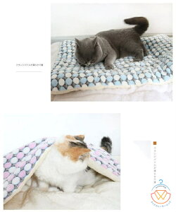 L  xbh ~ ybgxbh L  NbV xbh ӂӂ ~ }bg  􂦂 g  ӂӂ  P[W ybgxbh NbV    nEX y