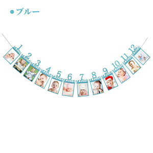 tHgt[ t 1 12 ʐ^K[h o[XfB p[eB[ j tHgt[ t Ǌ| ʐ^t[ ʐ^ LO Ԃ  ЂtDIYp pia