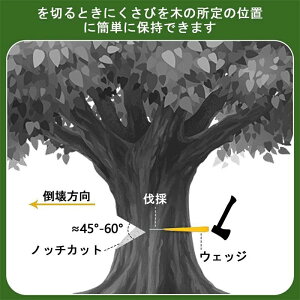 ̗p  ыƗp ̗p NTr 3Zbg vX`bN  | dp  [ܕt