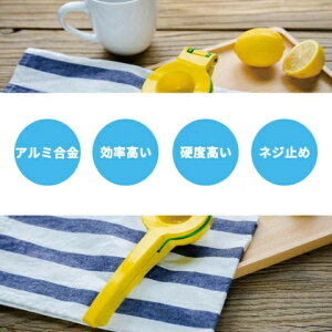 i i 2in1 nhW[T[ ʕ W[T[ 蓮 ʏ`i kވ O[vt[ci 蓮 t[cʏ` ƃCJb^[ A~ 䂸i 